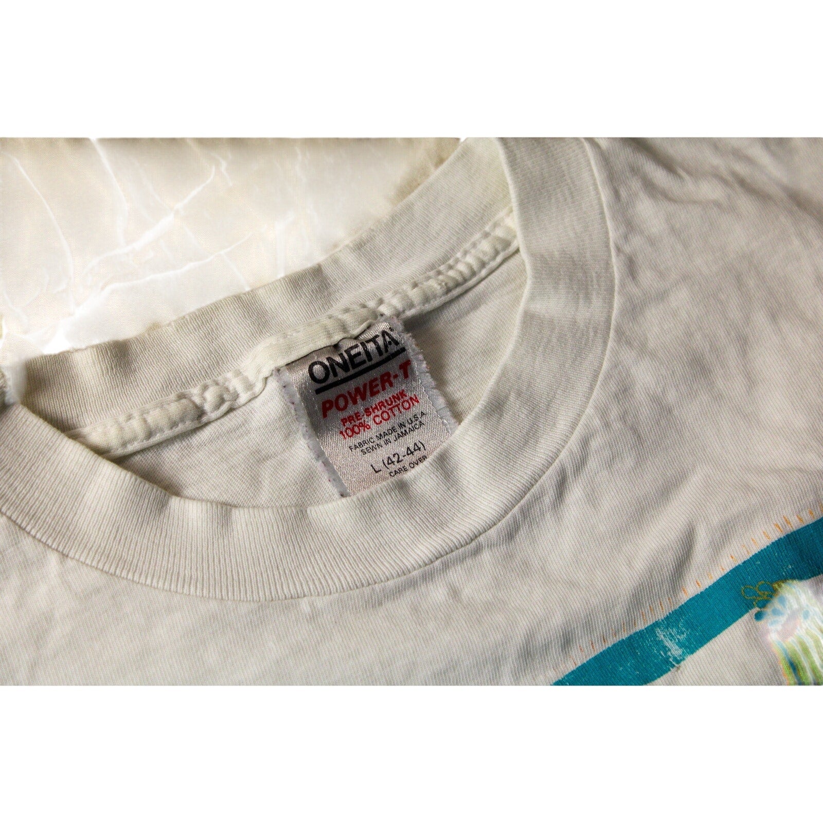 80s arizona desert graphic tee - oneita