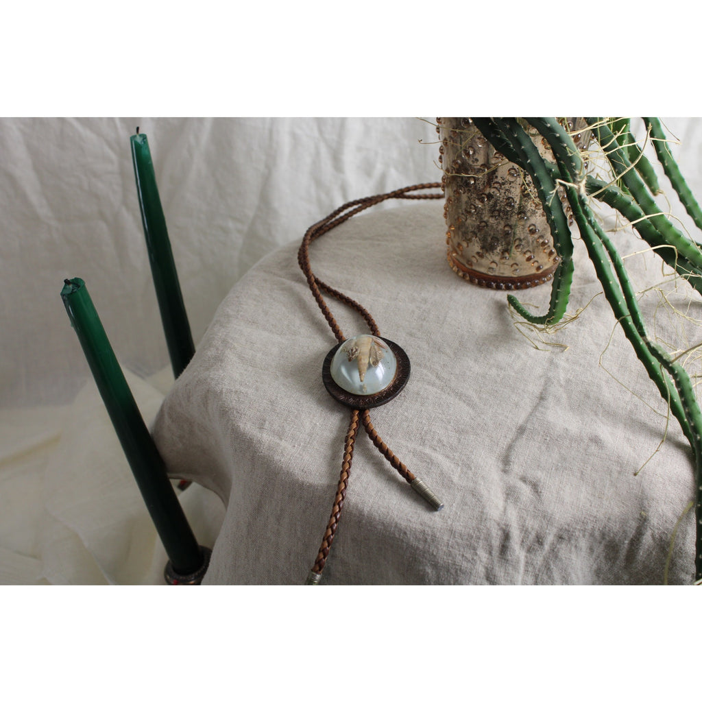 70s RARE shell resin bolo tie