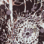 70s italian abstract print shirt