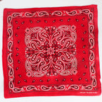 60s/70s turkey red medallion paisley cotton bandana - fast color, rn 13962