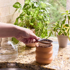tiny terracotta grow kit, dahlia