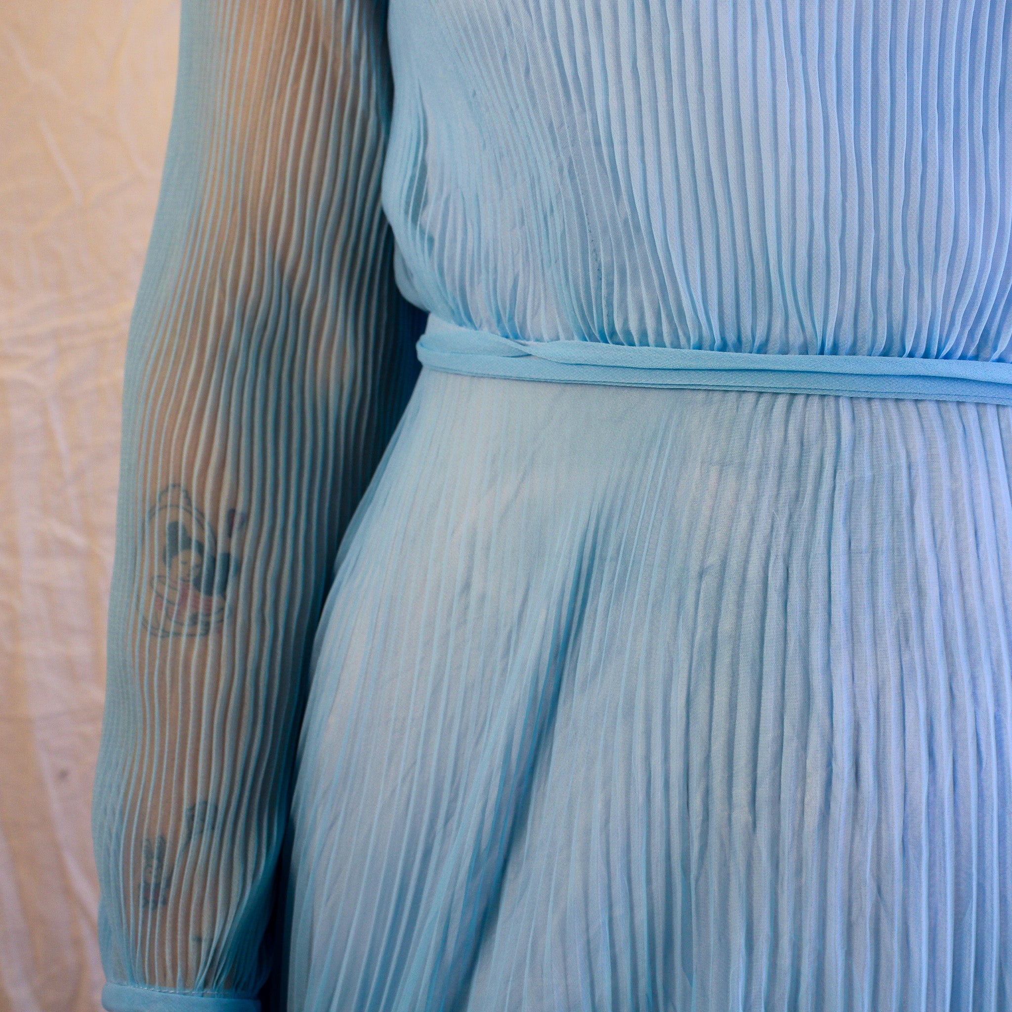 Sleeve and pleat detail